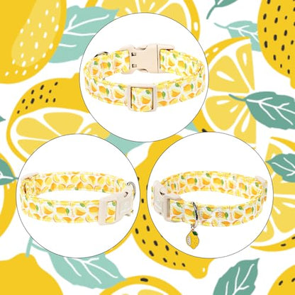 Summer Dog Collar Yellow Lemon Dog Collars for Puppy Small Dogs - Lightweight Adjustable Cute Male Female Dogs Everyday Collar with Safety Buckle XS - color: Yellow Lemon, size: XS