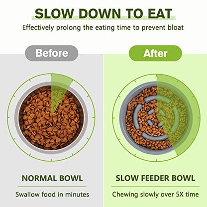 Pecute Slow Feeder Dog Bowls to Slow Down Eating, Dog Bowl Slow Feeder with No-Spill Non-Skid Silicone Mat, Food-Grade Safe Dog Food Bowls Slow Feeder, Stainless Steel Dog Water Bowl for Dogs Cats - size: Medium-1¾ Cup/13.5 oz each
