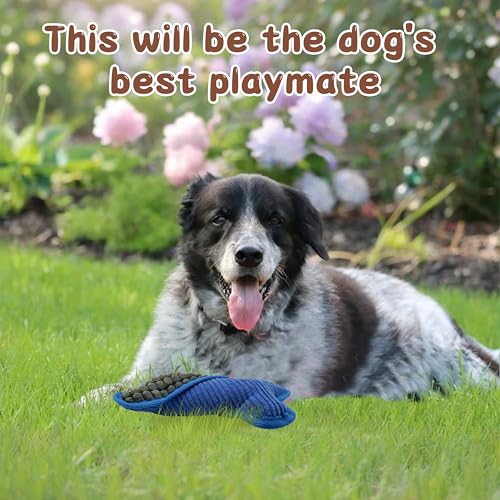 Squeaky Dog Toys to Keep Them Busy Squeaky Dog Toys with Soft Fabric, for Small, Medium, and Large Dogs for Daily Interaction, Companion Training 1Pcs (Color: Pink)