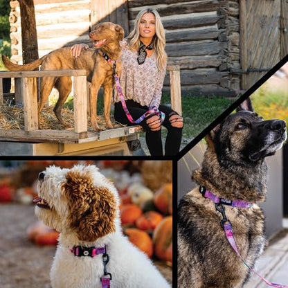 Wolfgang Heavy Duty Martingale Dog Collar with Quick Release Nylon Buckle for Walking & Training, Daydream Print, Medium - color: DayDream Print, size: Medium (1 Inch x 14-18 Inch)