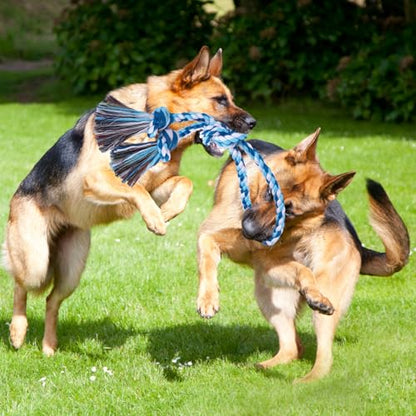 BINGPET 2 Pack Dog Rope Toy for Large and Medium Dogs,Heavy Duty Tug of War Dog Toy,Cotton Tough Dog Chew Teething Toys for Aggressive Chewers - color: Pink and Blue