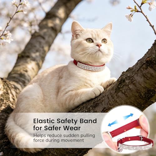 BINGPET Diamond Cat Collar with Bell, Adjustable Soft Velvet Bling Rhinestone Cat Collar, Sparkly Kitten Collar with Safety Elastic & Metal Buckle for Small Medium Cats - color: Red(Rhinestones), size: Neck Girth 8"-10"