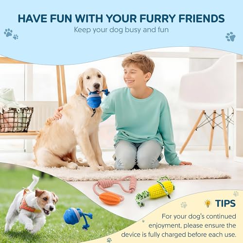 Interactive Dog Ball, 2026 Upgraded Motion Activated Automatic Rolling Ball with Remote Control, Self-Moving Pet Ball for Training Pets Toy, Free Chew Corn & Rope Toy Included