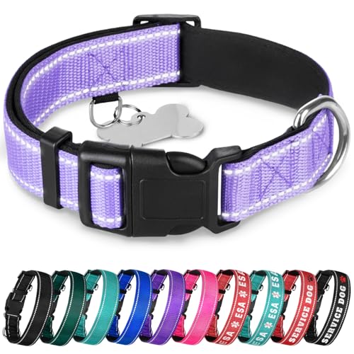 TECEUM Reflective Dog Collar – Lavender – XXS – Extra Soft Padding – Basic Nylon Pet Collar – Quick Release Buckle – Fits Small, Medium and Large Dogs, Puppies, Cats – ESA & Service Dog Options - color: Lavender, size: XX-Small