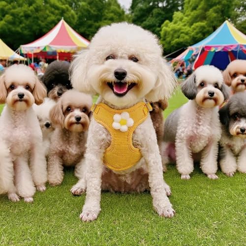 Cute Small Dog Harness with Daisy Embroidery, Breathable Dog Vest Adjustable Pet Puppy Harness Suitable for Walking, Running, Training, Everyday Wear - color: Yellow, size: XS