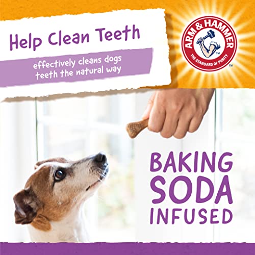 Arm & Hammer for Pets Super Treadz Gorilla Dental Chew Toy for Dogs - Dog Dental Toys Reduce Plaque & Tartar Buildup Without Brushing - Safe for Dogs up to 35 Lbs (Pack of 12) - size: Large (Pack of 12), style: Gorilla