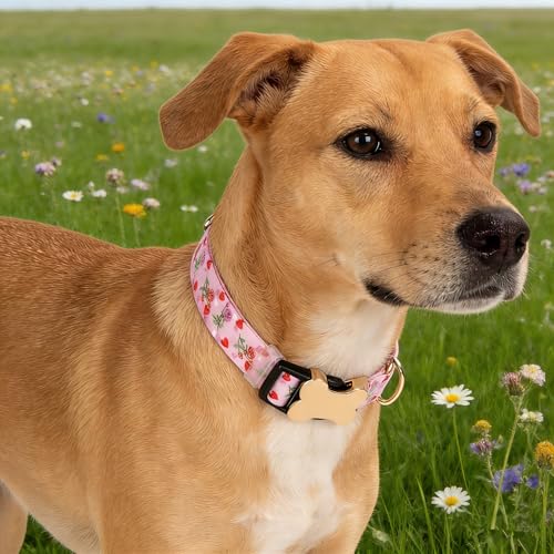 Personalized Custom Customized Silent No Jingle Dog Collar with Engraved ID Dog Name Phone Number/Dog Collars for Puppy X-Small Small Medium Large X-Large Boy Girl Dogs-Rose Heart-S - color: 11 Rose Heart, size: Small (0.6" * 10"-15.3")