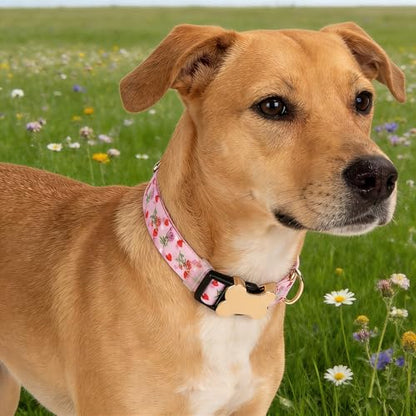 Personalized Custom Customized Silent No Jingle Dog Collar with Engraved ID Dog Name Phone Number/Dog Collars for Puppy X-Small Small Medium Large X-Large Boy Girl Dogs-Rose Heart-S - color: 11 Rose Heart, size: Small (0.6" * 10"-15.3")
