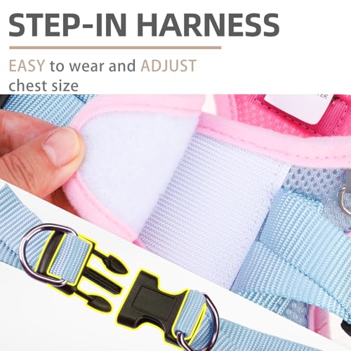 PUPTECK Dog Harness and Leash Set for Small Medium Dogs No Pull Step-in Soft Mesh Puppy Cat Vest Harnesses Reflective at Night, Pink & Blue, S - color: #1 Pink & Blue, size: S(CHEST 14.5"-16", 6.6-14 lbs)
