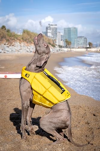 NOAH & PAW Dog Life Jacket, Human Standards Lifejacket Design, Dog Life Vest for Swimming and Boating, 3X Foam Support for Max Floating, Breathable Mesh, Salvavidas para Perros, Size L - size: L