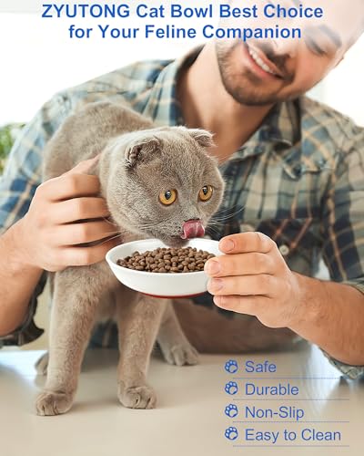 Whisker Friendly Cat Bowls 6 Pack – Non-Slip Ceramic Cat Food Bowls, Shallow Wide Design to Reduce Whisker Fatigue, Dishwasher & Microwave Safe, Heart Pattern - color: 6 Packs