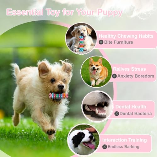 Puppy Teething Toy, Indestructible Dog Chew Toys for Aggressive Chewers, Puppy Toys to Keep Them Busy and Clean Teeth, Interactive Dog Toy for Small & Medium Breeds