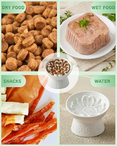 Ceramic Slow Feeder Cat Bowl, 15° Tilted Elevated Cat Slow Eating Bowl for Neck Protection, Anti Vomiting Dog Slow Feeder, Whisker Friendly & No Black Chin for Cats and Small Dogs, White - color: 01-White