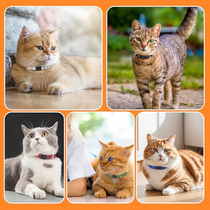 Cat Collar Breakaway with D-Ring and Safety Buckle, Adjustable, Soft Sheep Leather and Lightweight for Kittens and Small Pets(Neck Fit 7.5"-11", White) - color: White