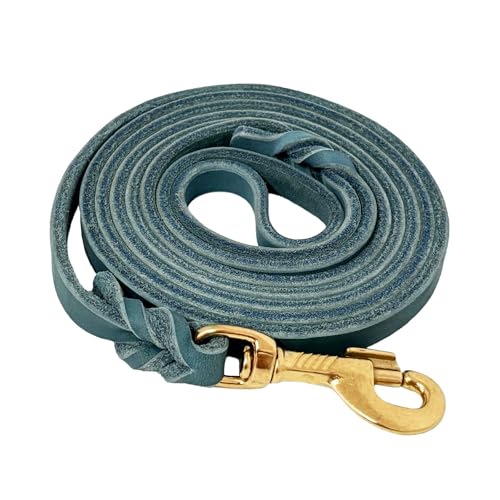 LWBMG Leather Dog Leash 4ft x 1/2 inch, Leather Dog Leash for Small Dogs, Strong Durable Handmade Braided Pet Lead, Soft and Comfortable Puppy Training Leashes for Small Medium Dogs Blue - color: Blue, size: 4ft x 1/2 inch