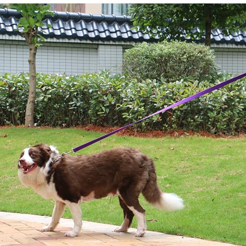 AMAGOOD Dog/Puppy Obedience Recall Training Agility Lead-15 ft 20 ft 30 ft 50 ft Long Leash-for Dog Training,Tie Out,Play,Safety,Camping (30Feet x 1Inch, Purple) - color: Purple, size: 1" x 30ft