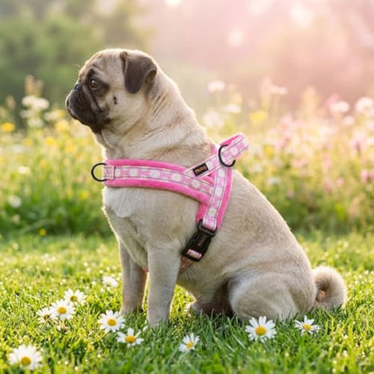 Didog No Pull Dog Harness with Soft Padded, Easy Walk Dog Harness with Quick Release Buckle, Adjustable & Reflective Pet Harness with Soft Padded for Small Medium Dogs (S:Chest 19-22", Pink) - color: Pink, size: S:Chest 19-22", Fit 15-25 lbs