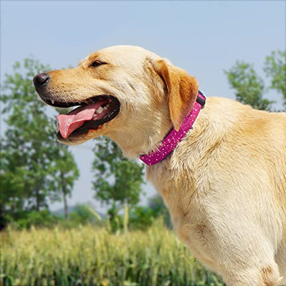 TDTOK Glittering Basic Dog Collar, Comfy & Durable Dog Collar for Small Medium Large Dogs with Eco-Friendly Plastic Buckle, Adjustable Stylish Nylon Dog Collars, Fit Necks: 9.8-22.4’’ (S, Rosy) - color: Rosy, size: S