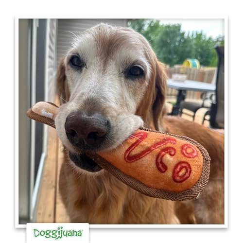 Doggijuana Mini Doggi Duo Refillable Juananip Toy Bundle | Corn Dog & Juananip | Funny Dog Toy Plush with Catnip and Refill | Interactive Chew for Play - style: Corn Dog & Juananip
