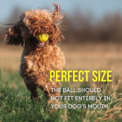 Fenrir - Dog Ball - High Bouncing Yellow Rubber for Fetch & Recall - 2.5 Inch Durable Floating Dog Toy - Water Retrievable Interactive Ball for All Breeds (Medium 2 Pack) - size: Medium 2 Pack