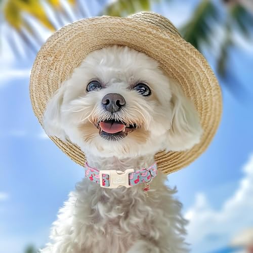 Summer Dog Collar Cute Flamingo Float Dog Collars for Puppy Small Dogs - Lightweight Adjustable Male Female Dogs Everyday Collar with Quick Release Buckle XS - color: Grey Flamingo, size: XS