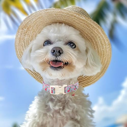 Summer Dog Collar Cute Flamingo Float Dog Collars for Puppy Small Dogs - Lightweight Adjustable Male Female Dogs Everyday Collar with Quick Release Buckle XS - color: Grey Flamingo, size: XS