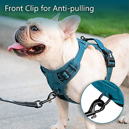 PoyPet No Pull Dog Harness, No Choke Reflective Dog Vest, Adjustable Pet Harnesses with Easy Control Padded Handle for Small Medium Large Dogs(Tumalo Teal,XS) - color: Tumalo Teal, size: XS