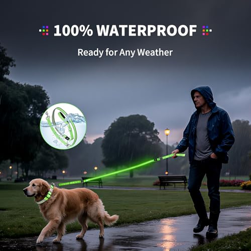 Night Walking LED Dog Leash - 6FT Reflective & Waterproof Light Up Safety Leashes for Dogs - USB Rechargeable, Green - color: Green(Fiber optic version)