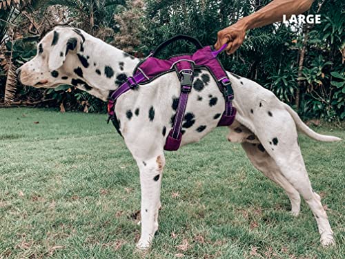Tuff Pupper Escape Proof No Escape Dog Harness | 5 Point Adjustable Fit Harness for Dogs | Padded Dog Harnesses | Handle Dog Lift Harnesses - color: Purple, size: Large