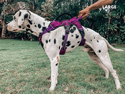 Tuff Pupper Escape Proof No Escape Dog Harness | 5 Point Adjustable Fit Harness for Dogs | Padded Dog Harnesses | Handle Dog Lift Harnesses - color: Purple, size: Large