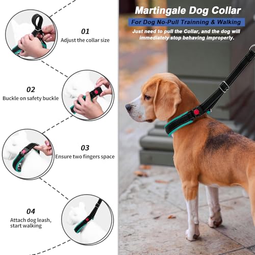 Martingale Collar - Hidden No Pull Dog Collar with Buckle, Reflective Nylon Adjustable Limited Slip Collar for Large, Medium, Small Dogs - Anti Pull Training Walking S Green - color: Black Green, size: S (11"-15" Neck, 1" Wide)