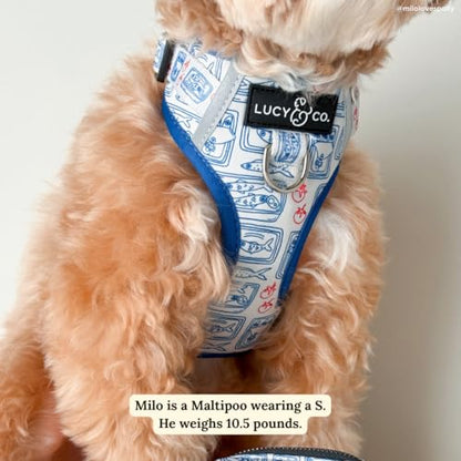Lucy & Co. Tinned Fish No-Pull Dog Harness, Adjustable Front Clip Harness with Comfort Padding, X-Small - color: Tinned Fish, size: X-small