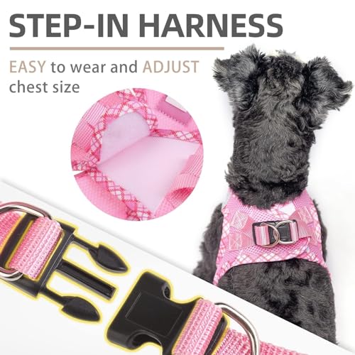 PUPTECK Dog Harness and Leash Set for Small Medium Dogs No Pull Step-in Soft Mesh Puppy Cat Vest Harnesses Reflective at Night, Pink S - color: #1 Pink(Basic Mesh), size: S(CHEST 14.5"-16", 6.6-14 lbs)