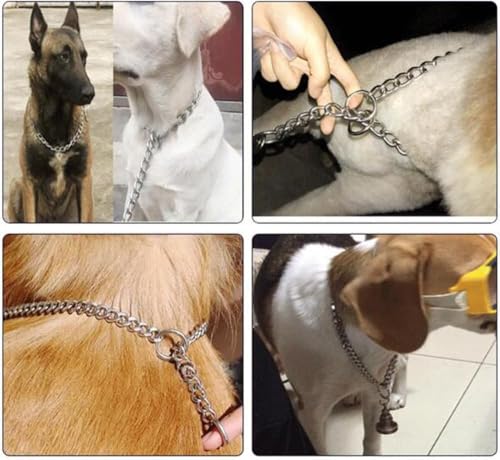 Dog Chain Collars, Metal Choke Link Dog Collar Choker Training Heavy Duty Slip Martingale Puppy Collars for XS Small Medium Large Big XL Breed Dogs (Silver, XS(12inch) D2.0mm) - color: Silver, size: XS(12inch)D2.0mm