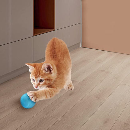 Pet's Cat Toy Ball,Wloom Cat Toy,Magic Rolling and Sound Ball for Indoor Playing Stimulate Hunting Instinct for Your Kitty. (Green) - color: Green
