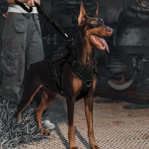 Tactical Dog Training Bungee Leash with 2 Control Handle Quick Release Nylon Leads Rope (Black) - color: Black