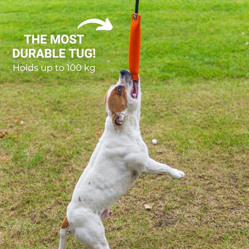 Bull Fit K9 Dog Bite Tug Toy with Strong Handle - Made of Durable & Tear-Resistant French Linen - Perfect for Tug of War, Fetch & Puppy Training - Ideal for Medium to Large Breeds - color: Orange Bite Tug with Blue Handle