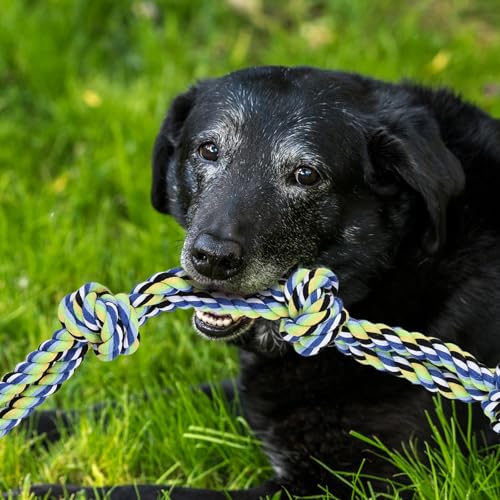 12 Pack Dogs Rope Toys for Large/Medium/Small Aggressive Chewers, Tough Cotton Dental Rope Toys Kit, Heavy Duty Dog Tug of War Toy for Chewing, Playing, Teething, Teeth Cleaning, Tossing and Catching - size: 12pc