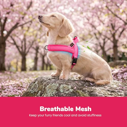 Didog No Pull Dog Harness with Soft Mesh Padded,Reflective & Quick Fit Light Weight Dog Strap Vest Harness,Easy for Walking Training (XS:Chest 15-18", Pink) - color: Pink, size: XS: Chest 15-18", Fit 9-18 lbs