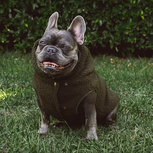 Tuff Pupper Fleece Dog Hoodie Sweater | Teddy Sherpa Outer & Soft Polar Fleece Lining | Adjustable Fit Winter Coat with Hood, Leash Hole, Ribbed Cuffs | for Small Medium Large XL XXL Dogs (Olive, S) - color: Olive, size: 15-25 lbs (Small)