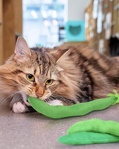 CiyvoLyeen Catnip Toy, Green Bean Cat Toys Kitten Supplies Interactive Kicker Vegetables Vegan Dental Health Teething Chew Gift for Cat Lovers Indoor 4PCS - color: Bean - 4Pcs
