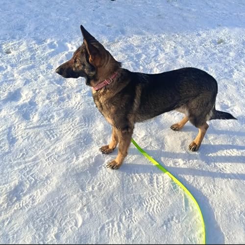 Waterproof Dog Training Leash,Long Line Heavy Duty Outdoor Recall Lead 10ft 15ft 20ft 30ft 50ft for Small Medium Large Dog (Yellow Green, 32FT)