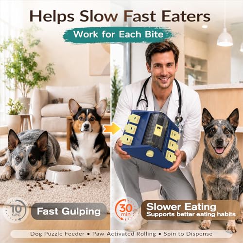 Dog Puzzle Toy, Large Size, 2 Levels of Challenge, Paw-Activated Rolling Treat Dispenser, Slow Feeder & Mental Stimulation for Small/Medium Dogs Enrichment Toys