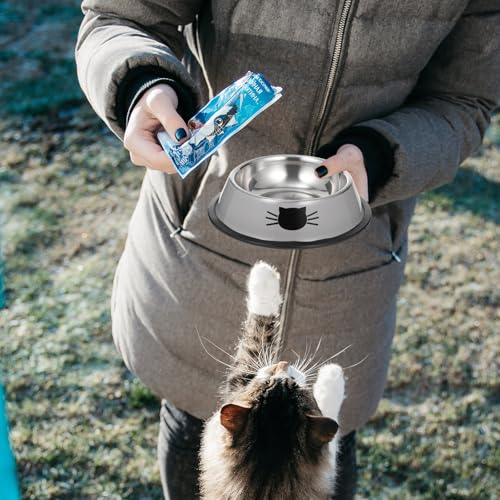 BESPORTBLE Thickened Stainless Steel Pet Bowl Set with Dual Food and Water Bowls Anti-Skid Base Gray Cat and Dog Feeding Dish for Indoor Use