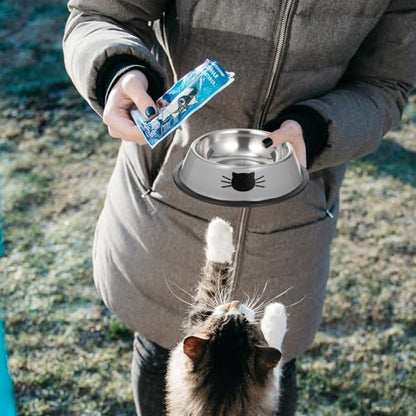 BESPORTBLE Thickened Stainless Steel Pet Bowl Set with Dual Food and Water Bowls Anti-Skid Base Gray Cat and Dog Feeding Dish for Indoor Use