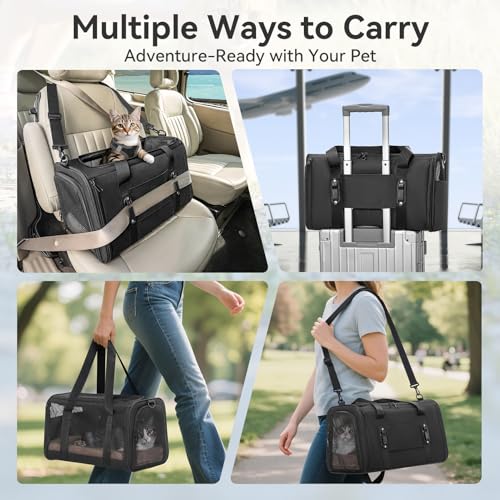 PETSFIT Soft-Sided Cat Carrier with Patented Safety Buckles, Lockable Zippers & Safety Tether,Escape-Resistant Travel Pet Carrier for Car Rides & Vet Visits, Airline Approved Under-Seat, Up to 12 lbs - color: Black, size: Medium