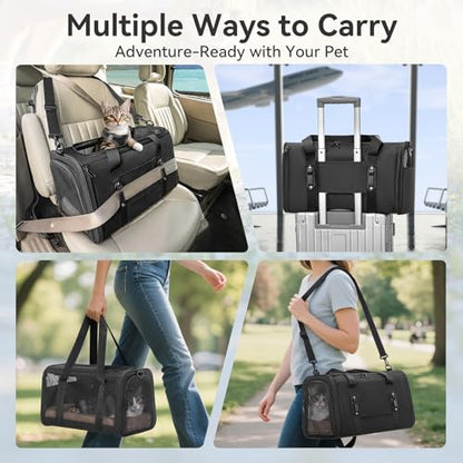 PETSFIT Soft-Sided Cat Carrier with Patented Safety Buckles, Lockable Zippers & Safety Tether,Escape-Resistant Travel Pet Carrier for Car Rides & Vet Visits, Airline Approved Under-Seat, Up to 12 lbs - color: Black, size: Medium