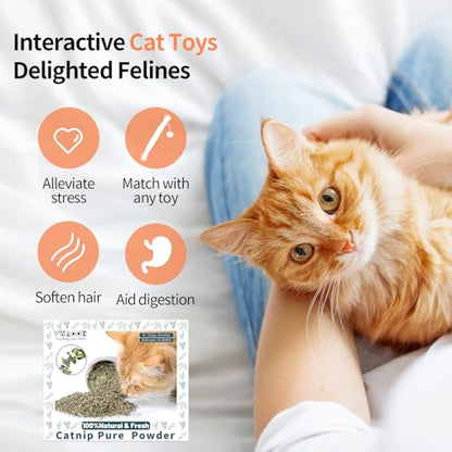 Premium Catnip for Cats & Kittens – Cold-Processed, High Potency Nepetalactone, 100% Pure Organic Leaf-Only Catnip for Toys, Scratchers, Refills, Stimulates Play & Protects Furniture - 25g - size: 25g