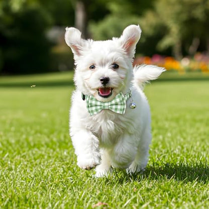 2 Pcs Green Cat Bow Tie, Cat Collar with Bow Tie Breakaway, Catsbowtie Collar with Bell, Soft Adjustable Color Plaid Pet Collars (Green) - color: Green