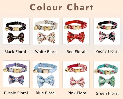 Personalized Cat Collar with Engraved Name and Phone Number - Customizable Kitten Collars for Girls (Floral Collar) - color: Floral Collar